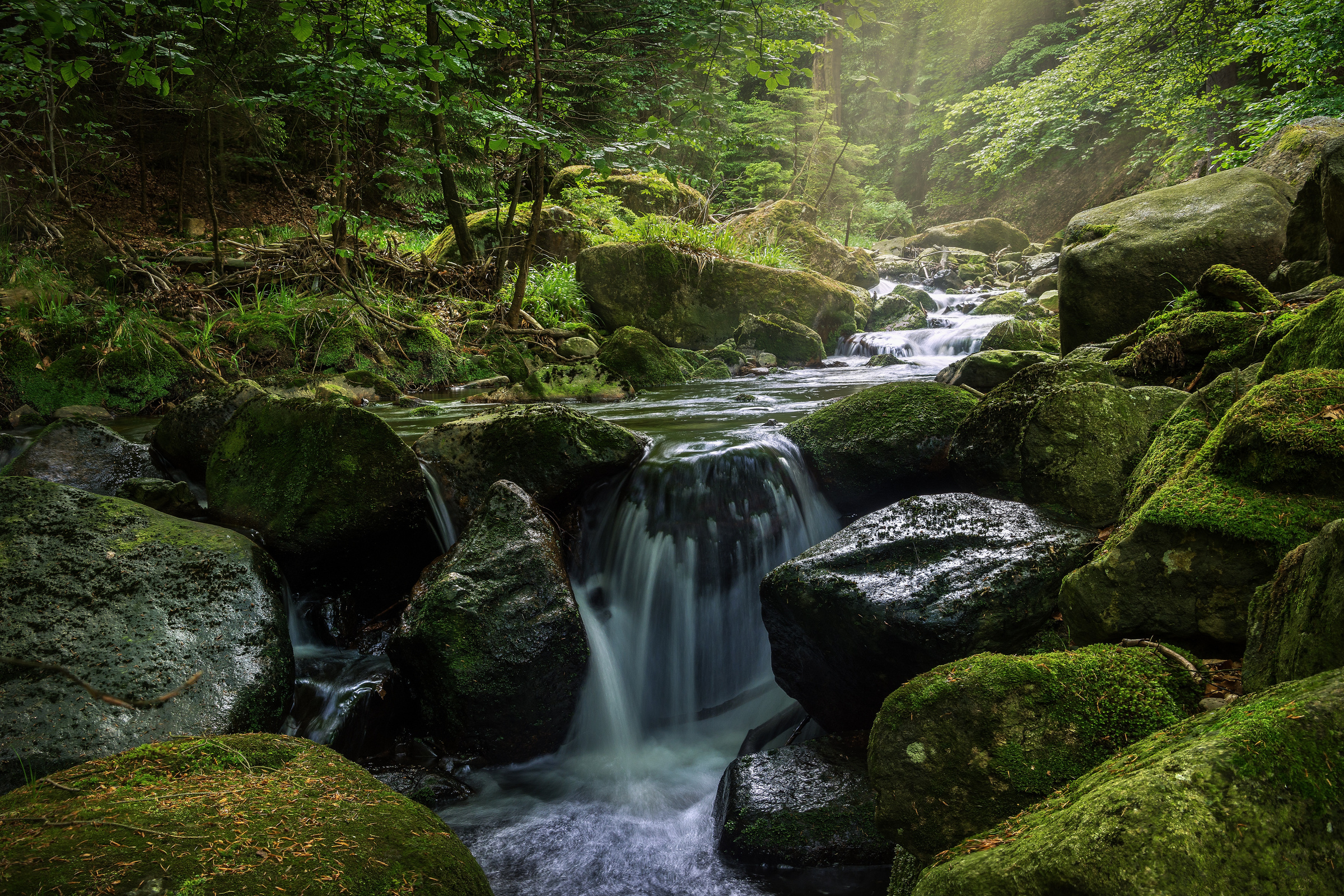Stones With Moss And Waterfalls